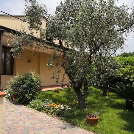 B&B D'Avino Pagani Exteriér fotografie
