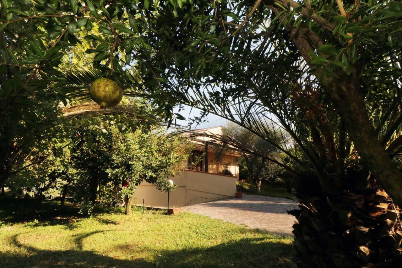 B&B D'Avino Pagani Exteriér fotografie